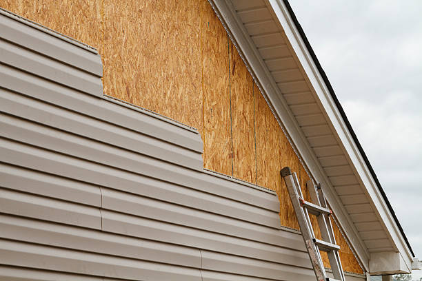 Professional Siding Inspection technician working in Essex, MD